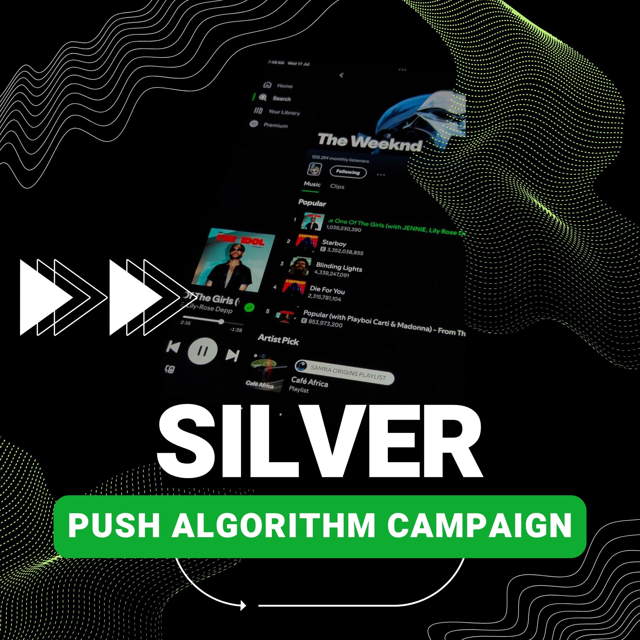 Silver Campaign